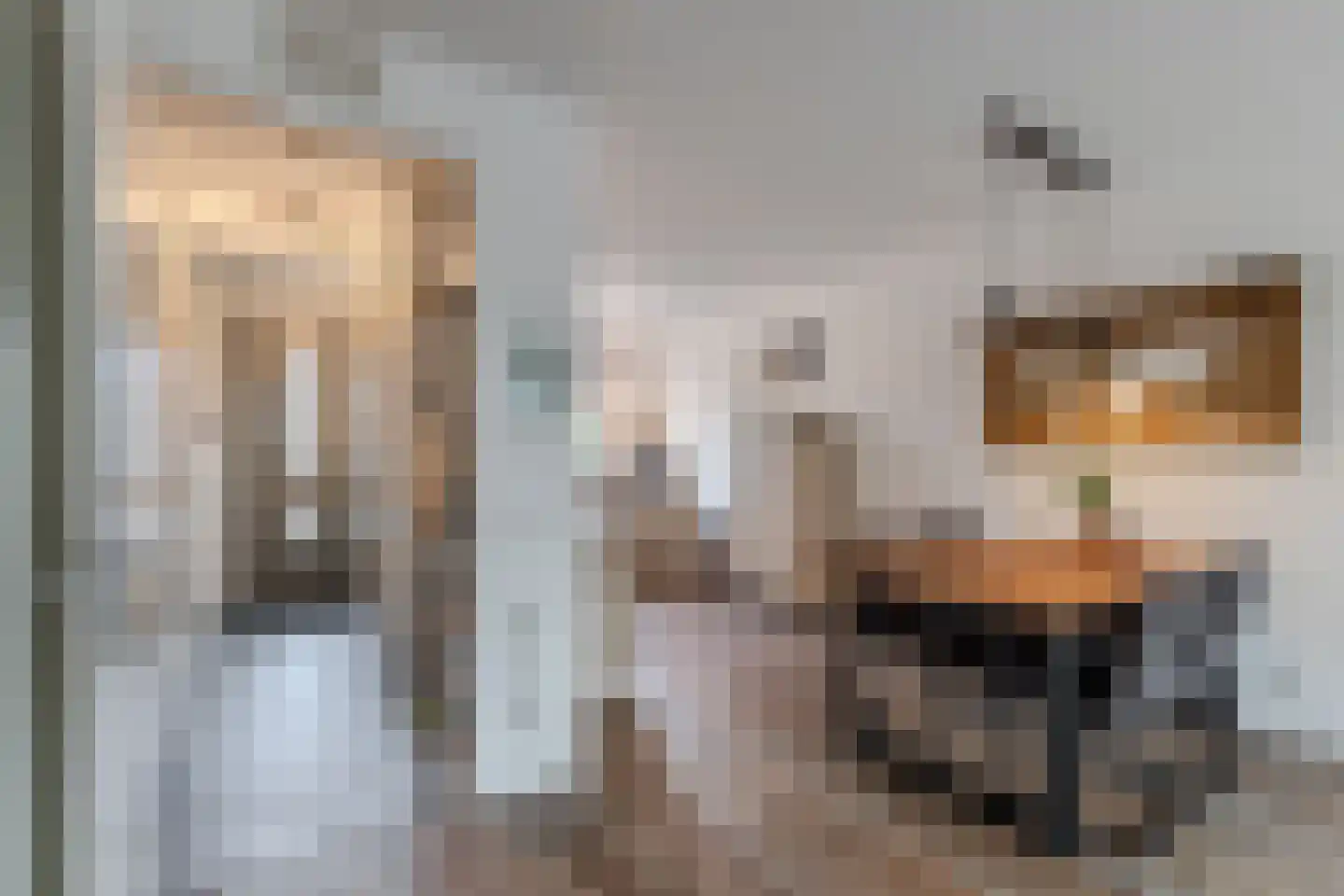 Darwinhage 22 Emmeloord thumbnail 19