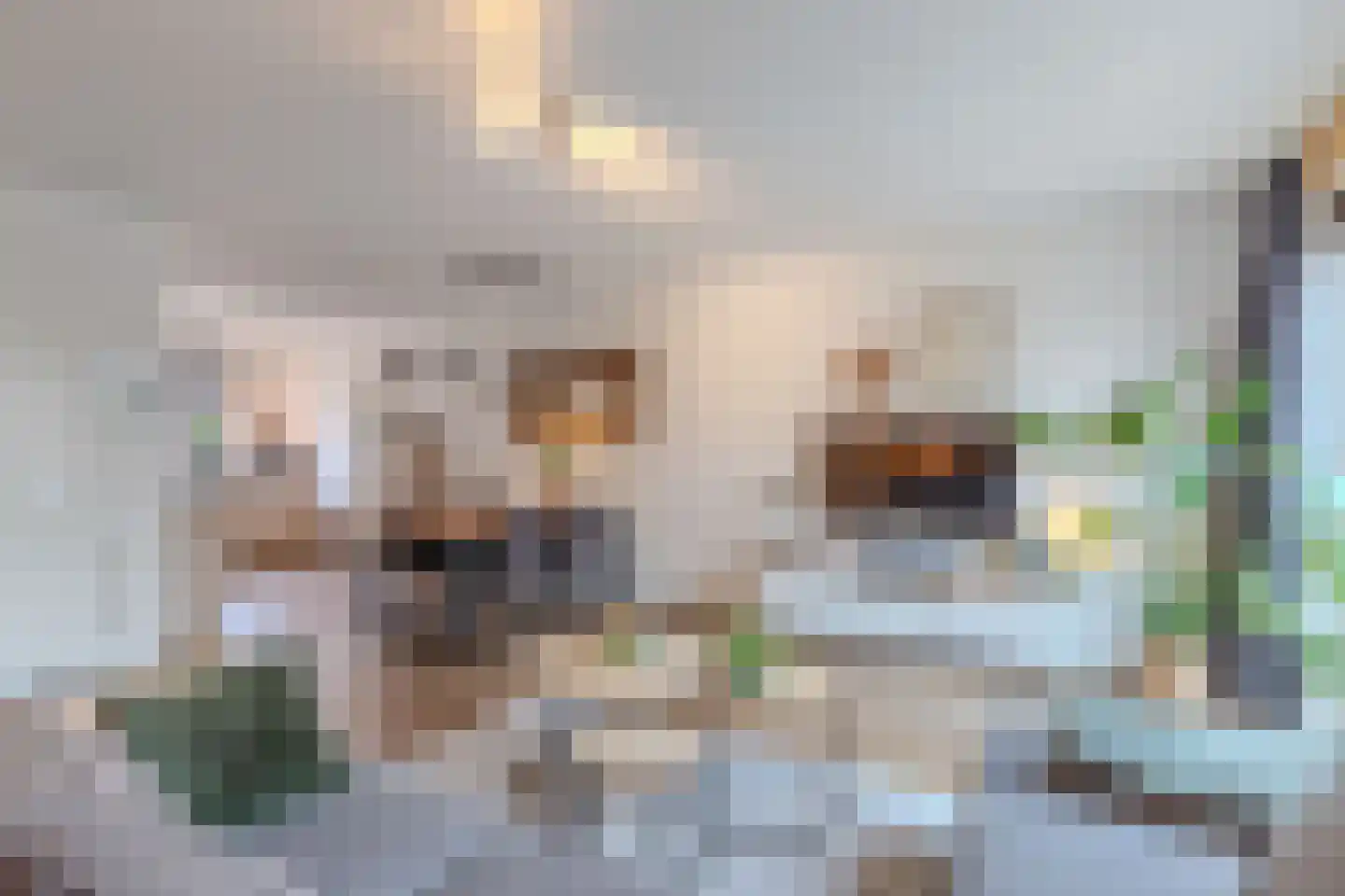 Darwinhage 22 Emmeloord thumbnail 24