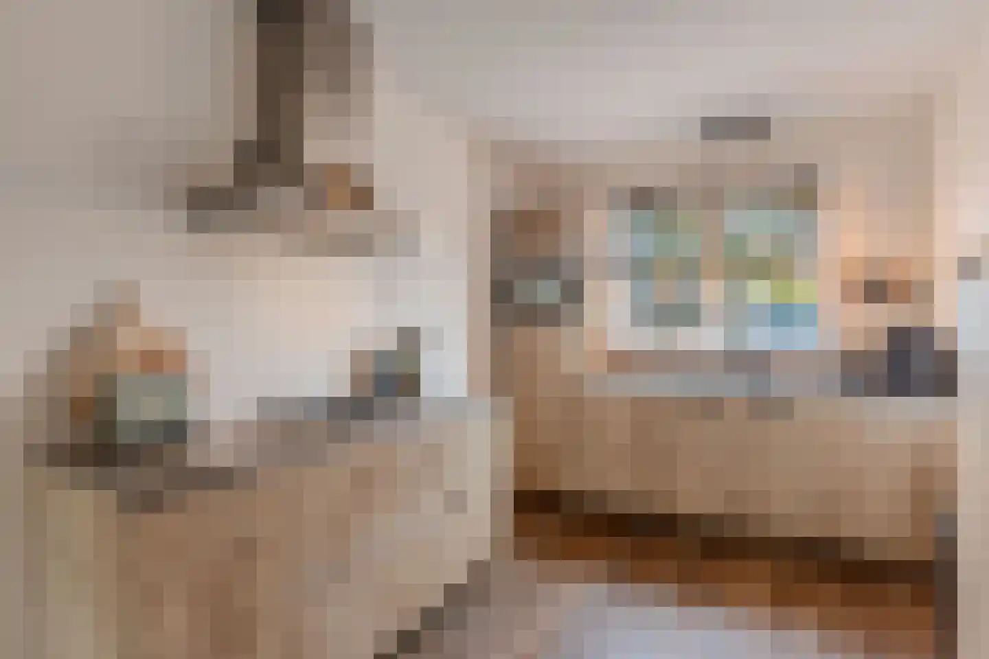 Darwinhage 22 Emmeloord thumbnail 28