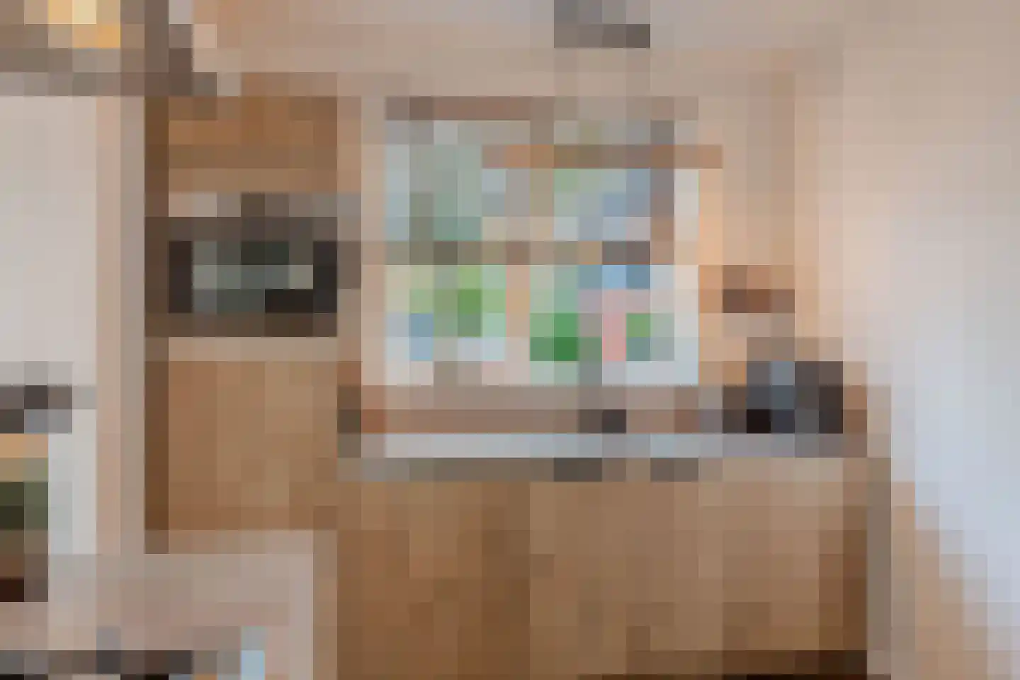 Darwinhage 22 Emmeloord thumbnail 29
