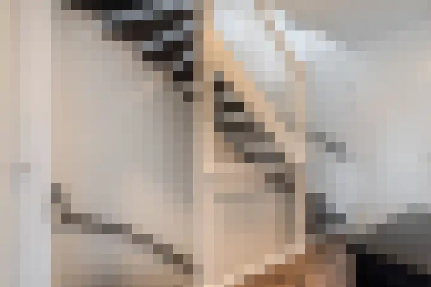 Darwinhage 22 Emmeloord thumbnail 31
