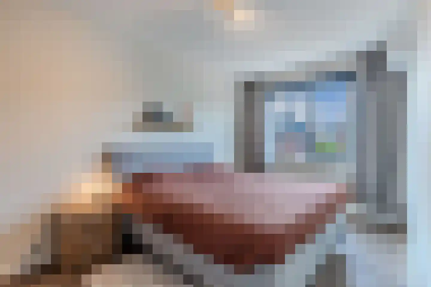 Darwinhage 22 Emmeloord thumbnail 32