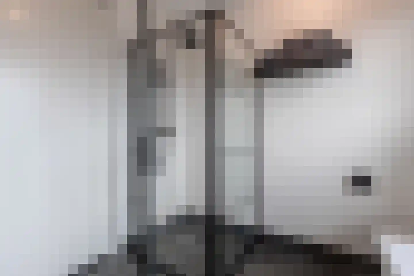 Darwinhage 22 Emmeloord thumbnail 39