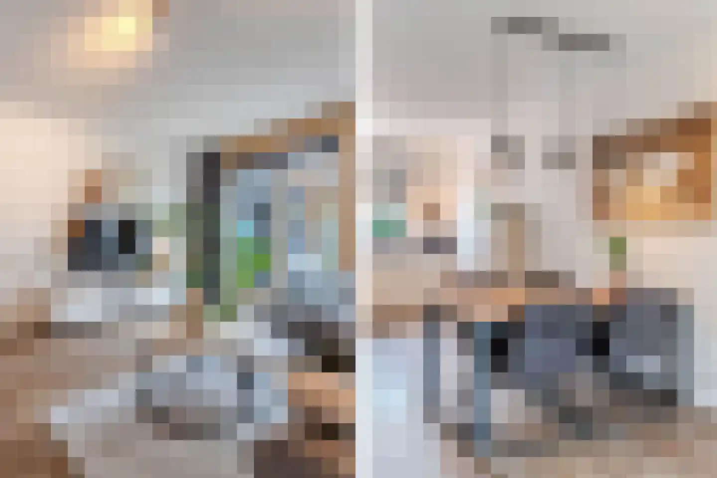 Darwinhage 22 Emmeloord thumbnail 6