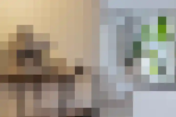 Darwinhage 24 Emmeloord thumbnail 15
