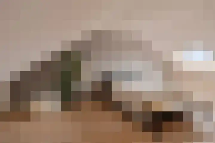 Darwinhage 24 Emmeloord thumbnail 28
