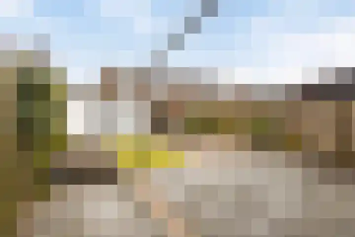 Darwinhage 24 Emmeloord thumbnail 31