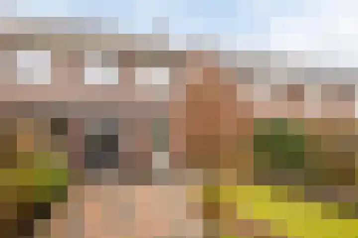 Darwinhage 24 Emmeloord thumbnail 34