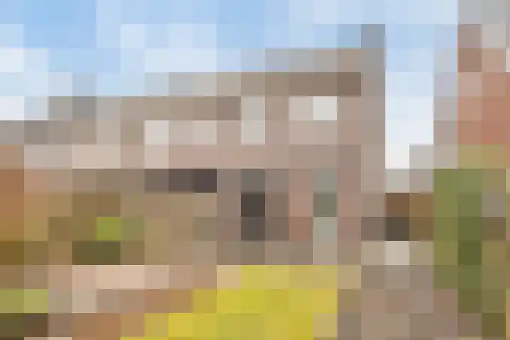 Darwinhage 24 Emmeloord thumbnail 35