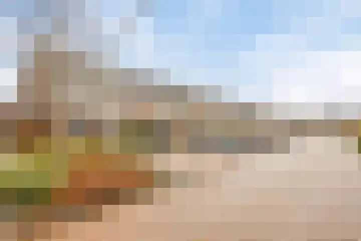 Darwinhage 24 Emmeloord thumbnail 37