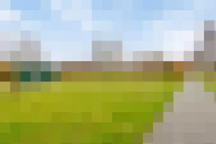 Darwinhage 24 Emmeloord thumbnail 38
