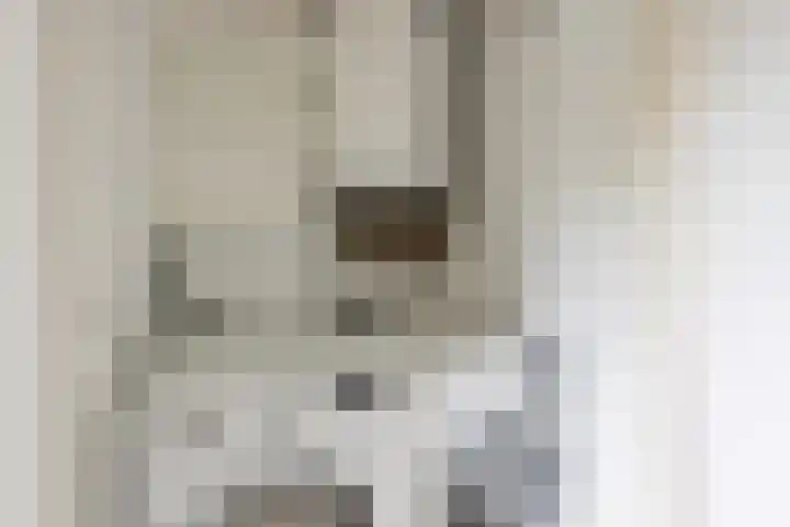 Darwinhage 24 Emmeloord thumbnail 7