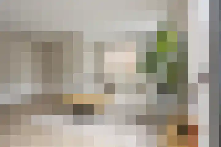 Darwinhage 24 Emmeloord thumbnail 9