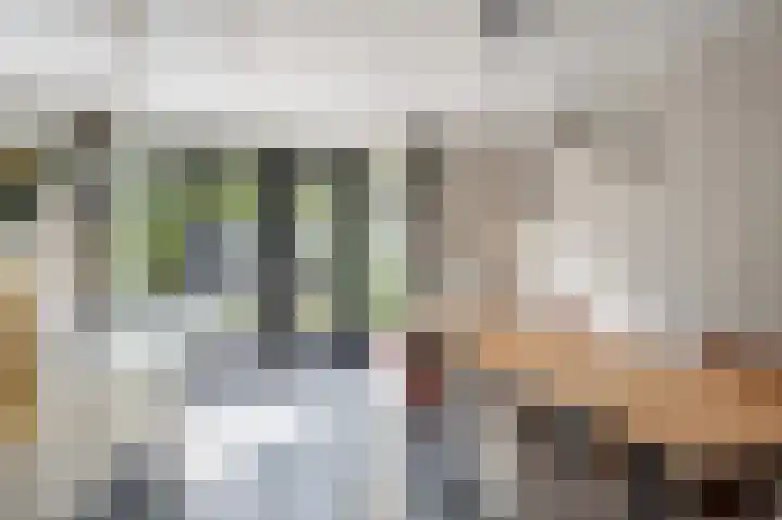 Darwinhage 27 Emmeloord thumbnail 19