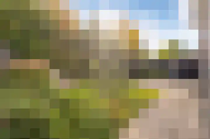 Darwinhage 27 Emmeloord thumbnail 23