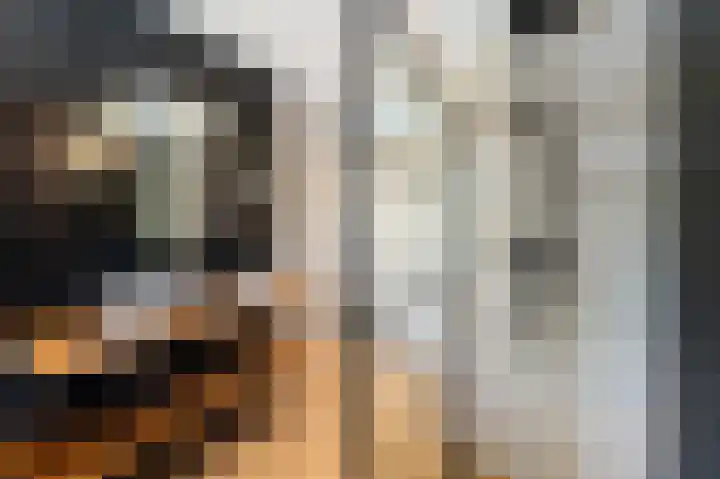 Darwinhage 27 Emmeloord thumbnail 31