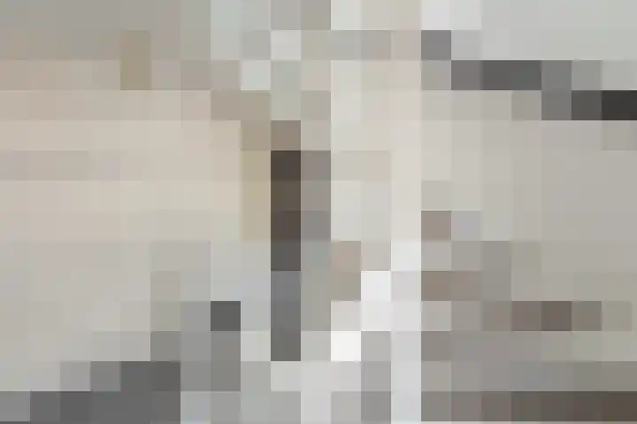 Darwinhage 27 Emmeloord thumbnail 45
