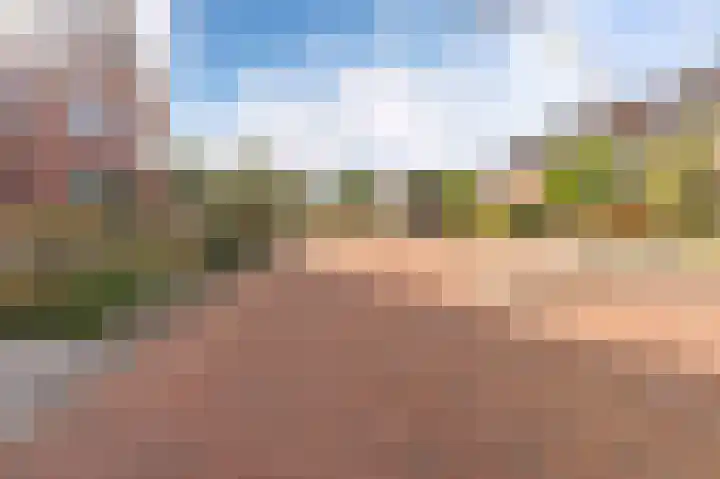 Darwinhage 27 Emmeloord thumbnail 5