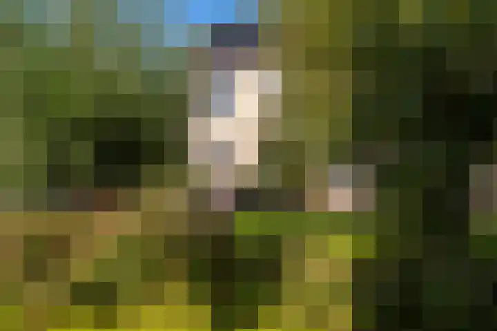 Darwinplantsoen 28 Lisse thumbnail 11