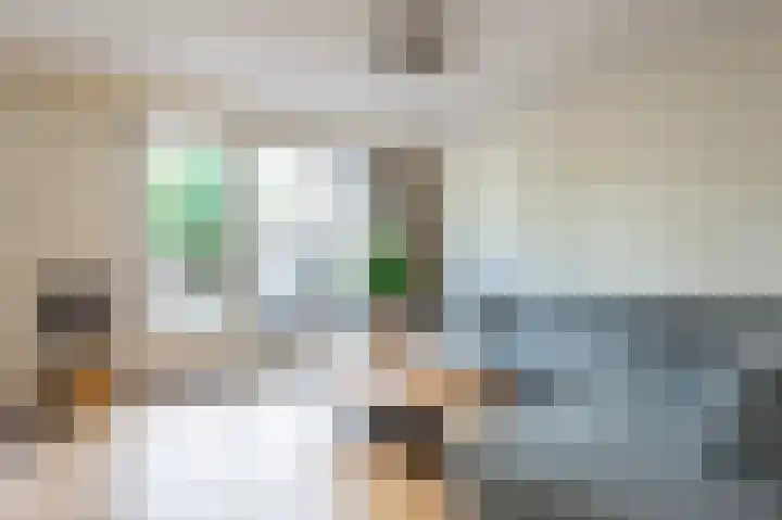 Darwinplantsoen 28 Lisse thumbnail 22