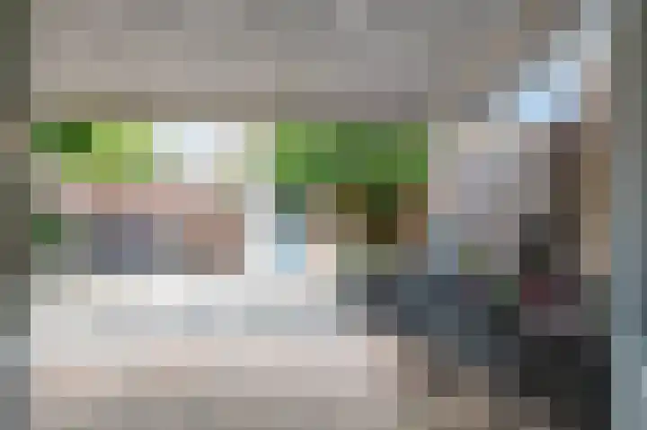 Darwinplantsoen 28 Lisse thumbnail 25