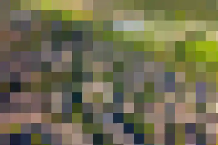 Darwinplantsoen 28 Lisse thumbnail 45
