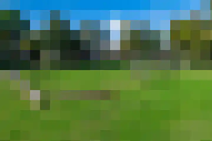 Darwinplantsoen 28 Lisse thumbnail 5