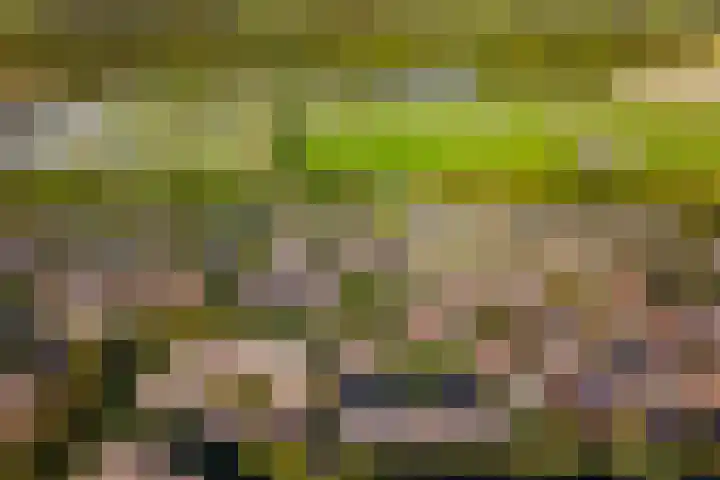 Darwinplantsoen 28 Lisse thumbnail 8