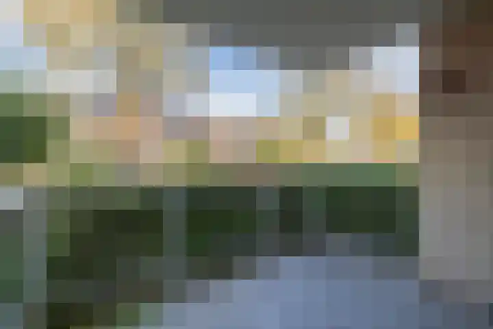 Darwinplantsoen 30 Lisse thumbnail 10