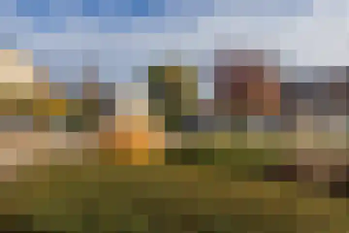 Darwinplantsoen 30 Lisse thumbnail 25