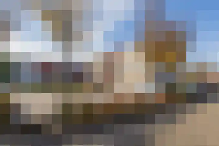 Darwinplantsoen 30 Lisse thumbnail 26