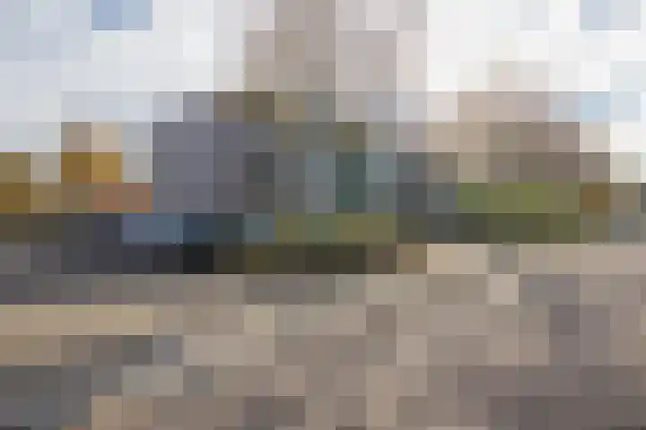 Darwinplantsoen 30 Lisse thumbnail 27