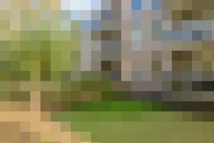 Darwinplantsoen 30 Lisse thumbnail 29