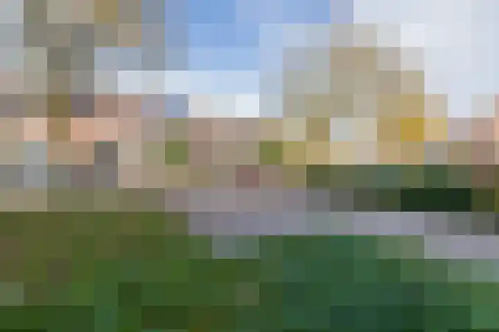 Darwinplantsoen 30 Lisse thumbnail 30