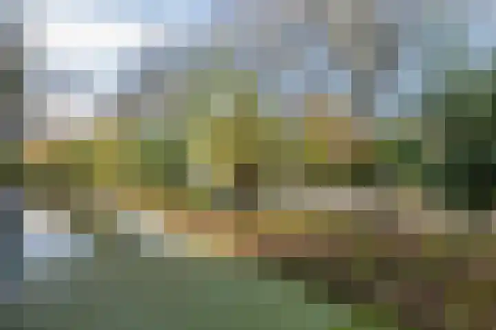 Darwinplantsoen 30 Lisse thumbnail 31