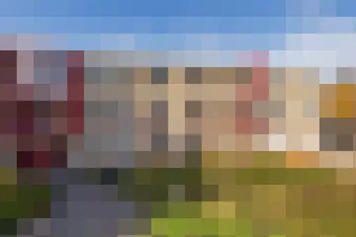 Darwinplantsoen 30 Lisse thumbnail 4