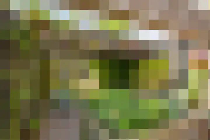 Darwinplantsoen 6 Amsterdam thumbnail 31