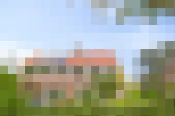 Darwinplantsoen 6 Amsterdam thumbnail 5