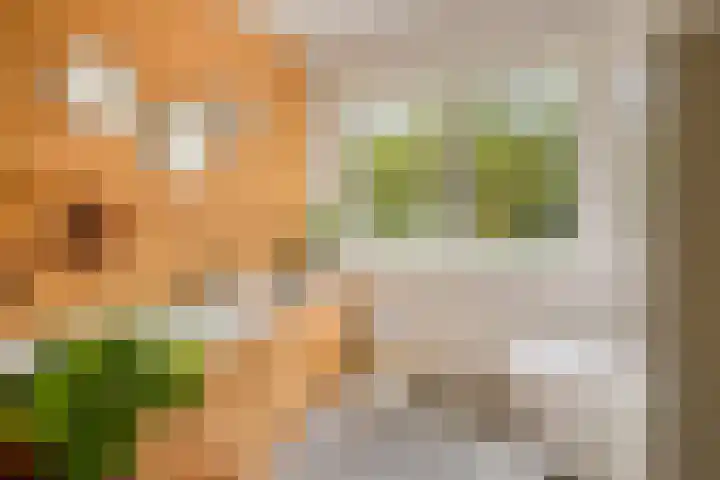 Darwinplantsoen 6 Amsterdam thumbnail 53