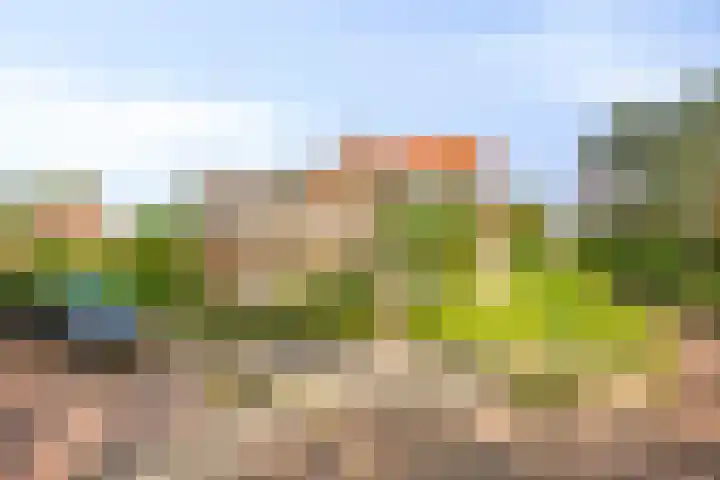 Darwinplantsoen 6 Amsterdam thumbnail 6