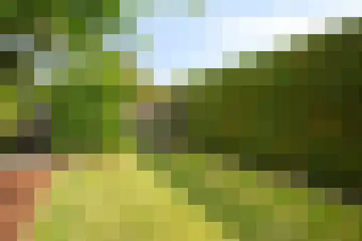 Darwinplantsoen 6 Amsterdam thumbnail 62