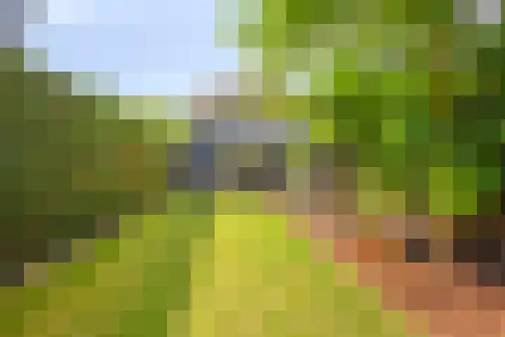 Darwinplantsoen 6 Amsterdam thumbnail 63