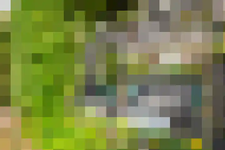 Darwinplantsoen 6 Amsterdam thumbnail 64