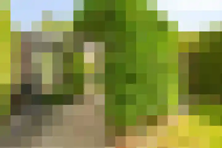 Darwinplantsoen 6 Amsterdam thumbnail 65