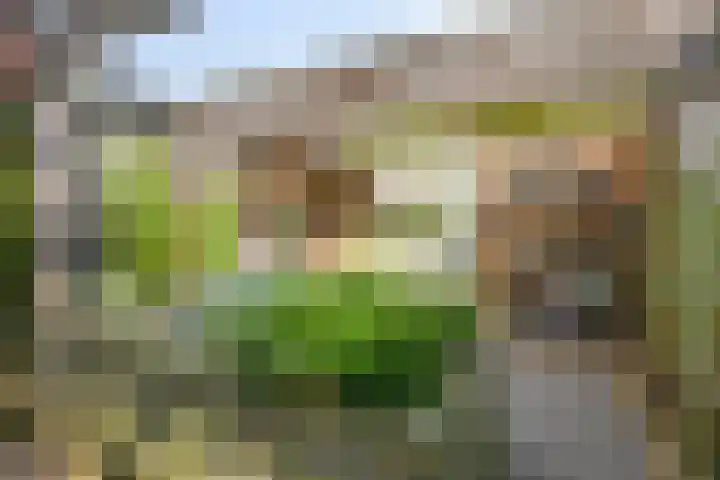 Darwinplantsoen 6 Amsterdam thumbnail 67
