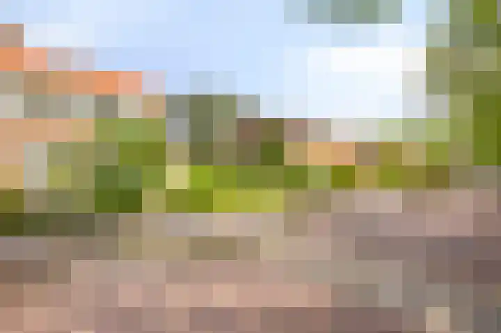 Darwinplantsoen 6 Amsterdam thumbnail 7