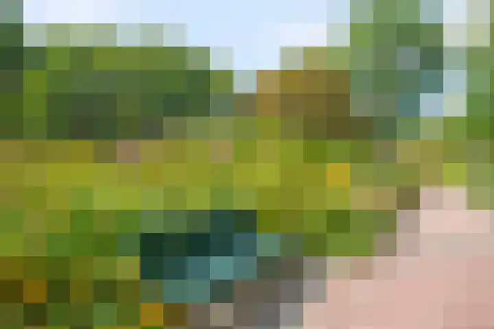 Darwinplantsoen 6 Amsterdam thumbnail 73