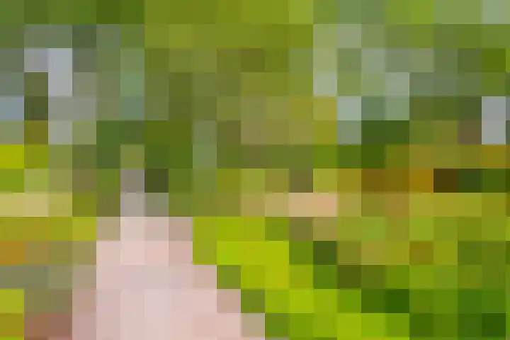 Darwinplantsoen 6 Amsterdam thumbnail 74
