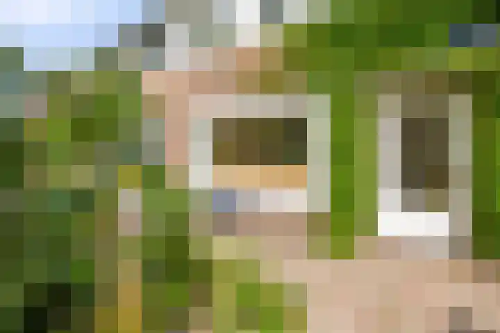 Darwinplantsoen 6 Amsterdam thumbnail 8