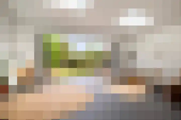 Darwinplantsoen 6 Amsterdam thumbnail 9